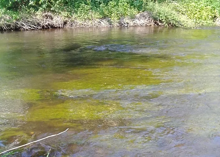 Hotel Weisses Ross Altenbrak