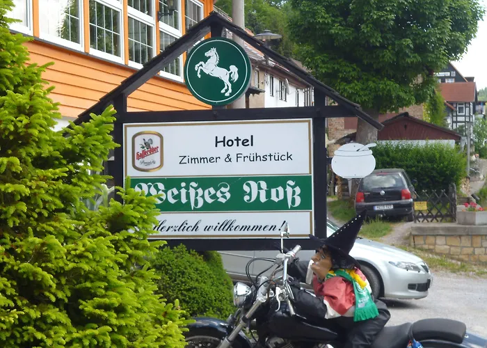 Weisses Ross Hotel 2*